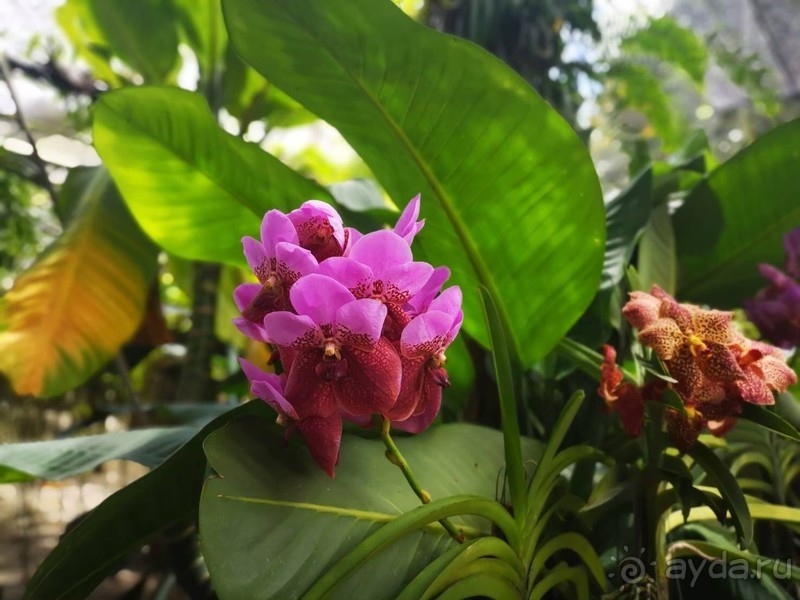 фото Grand Jomtien Palace