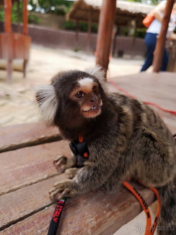 фото Grand Jomtien Palace