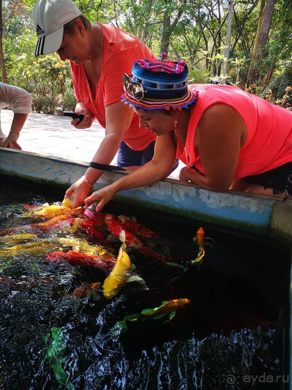 фото Grand Jomtien Palace