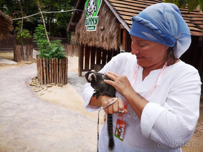 фото Grand Jomtien Palace