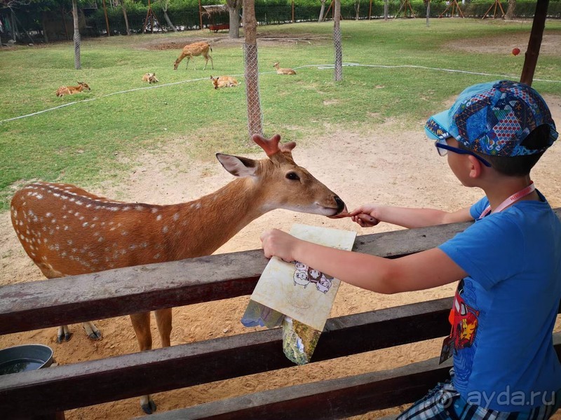 фото Grand Jomtien Palace