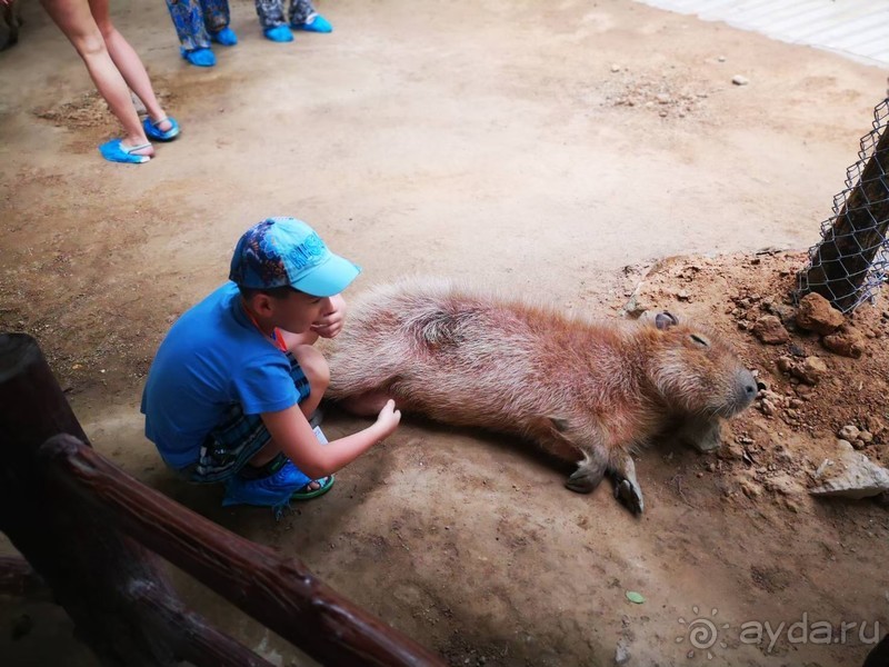 фото Grand Jomtien Palace