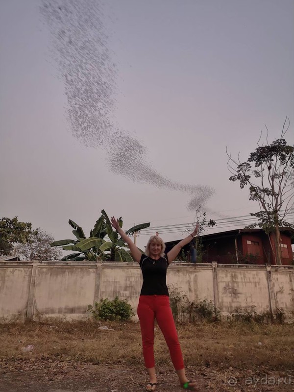 фото Grand Jomtien Palace