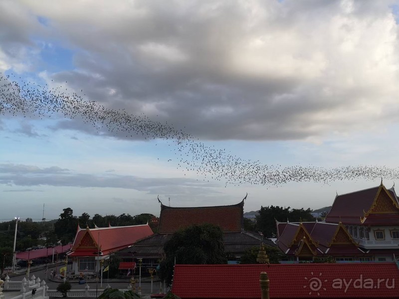 фото Grand Jomtien Palace