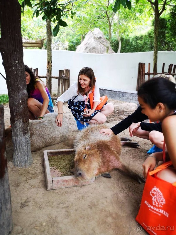 фото Grand Jomtien Palace