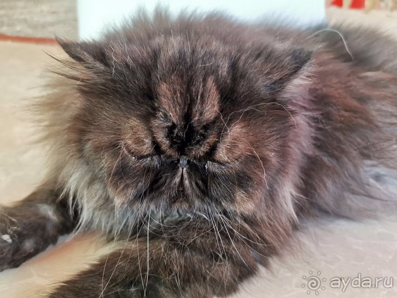 фото Grand Jomtien Palace