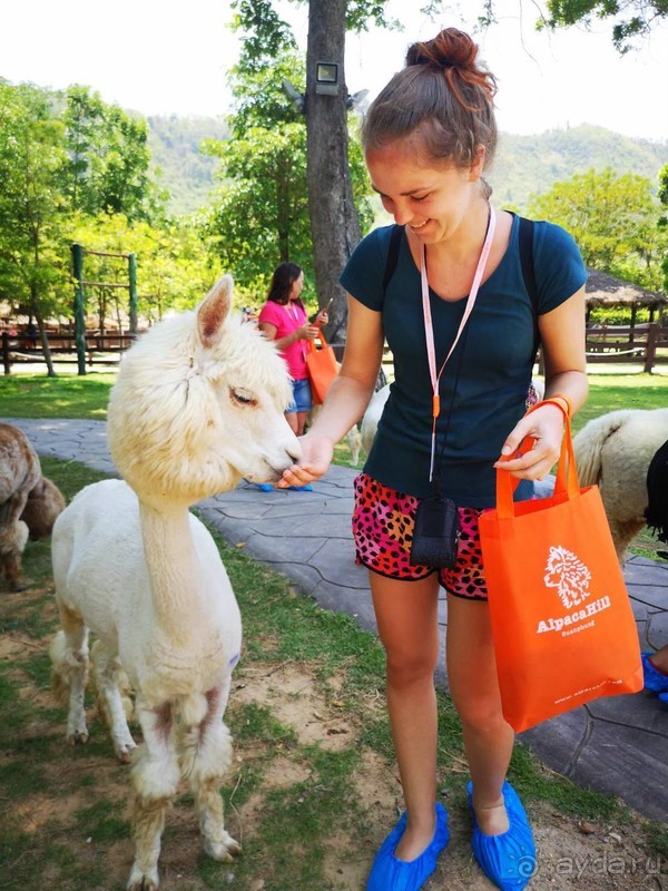 фото Grand Jomtien Palace