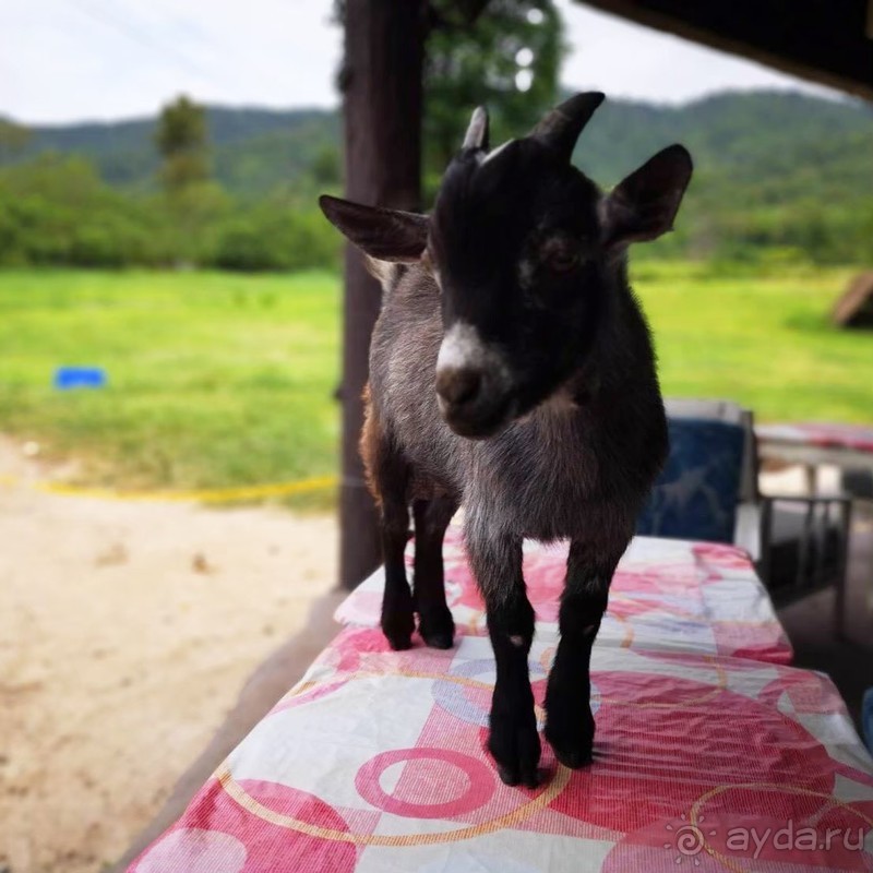 фото Grand Jomtien Palace