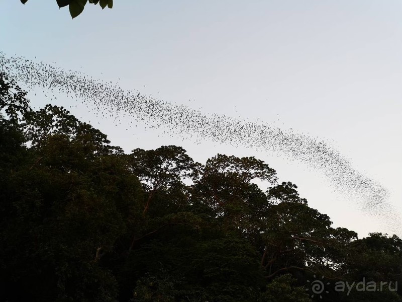 фото Grand Jomtien Palace