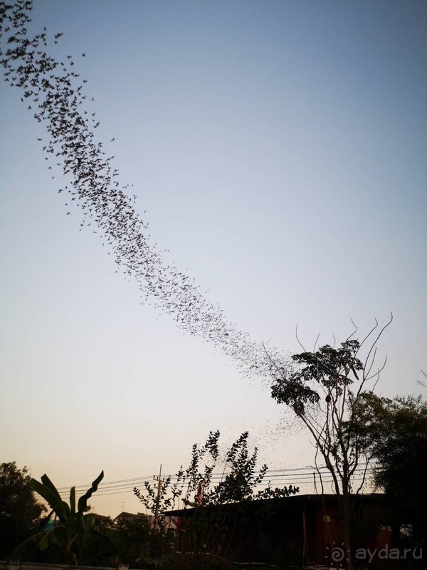 фото Grand Jomtien Palace