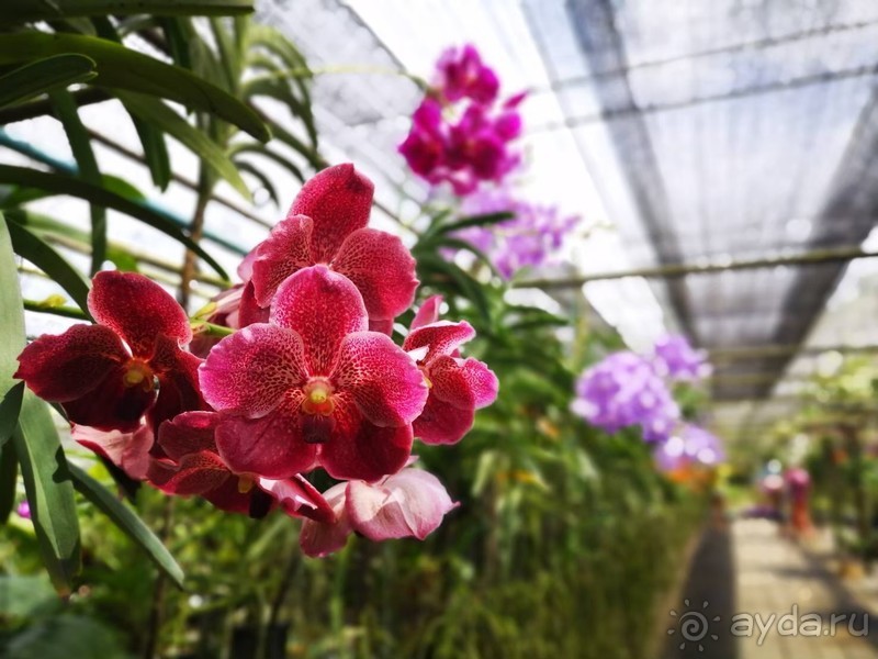 фото Grand Jomtien Palace