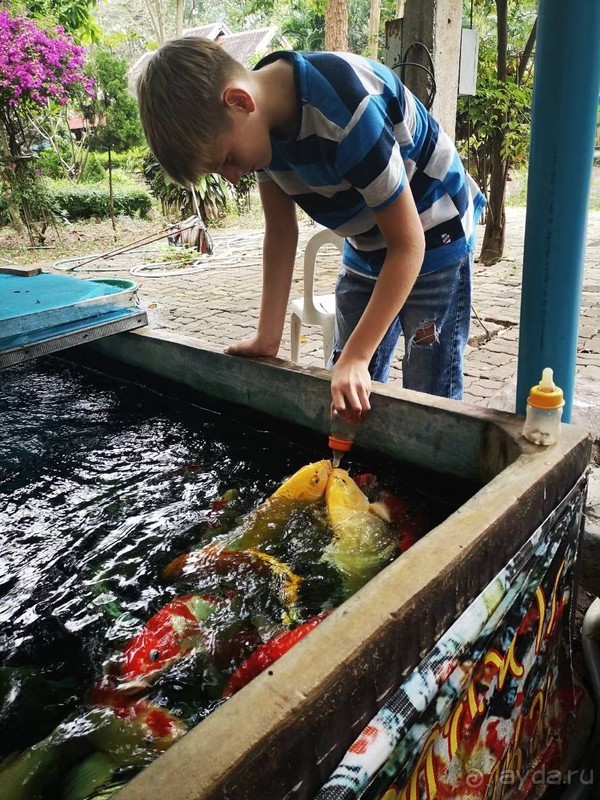 фото Grand Jomtien Palace