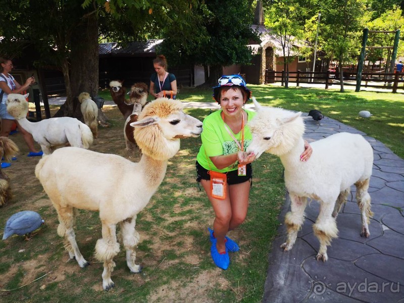 фото Grand Jomtien Palace
