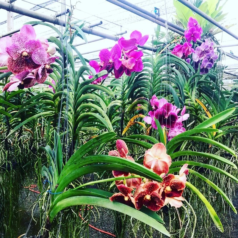 фото Grand Jomtien Palace