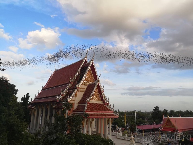 фото Grand Jomtien Palace