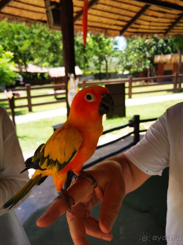 фото Grand Jomtien Palace