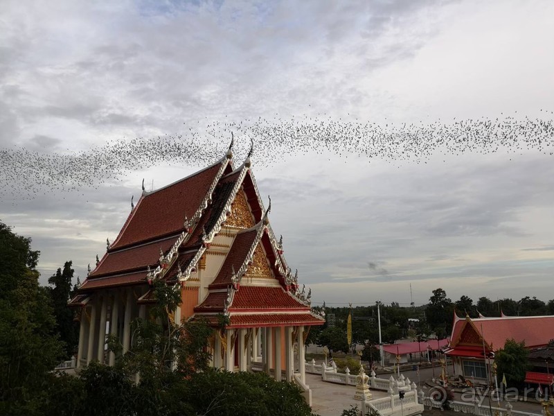 фото Grand Jomtien Palace