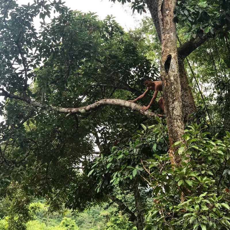 фото Grand Jomtien Palace