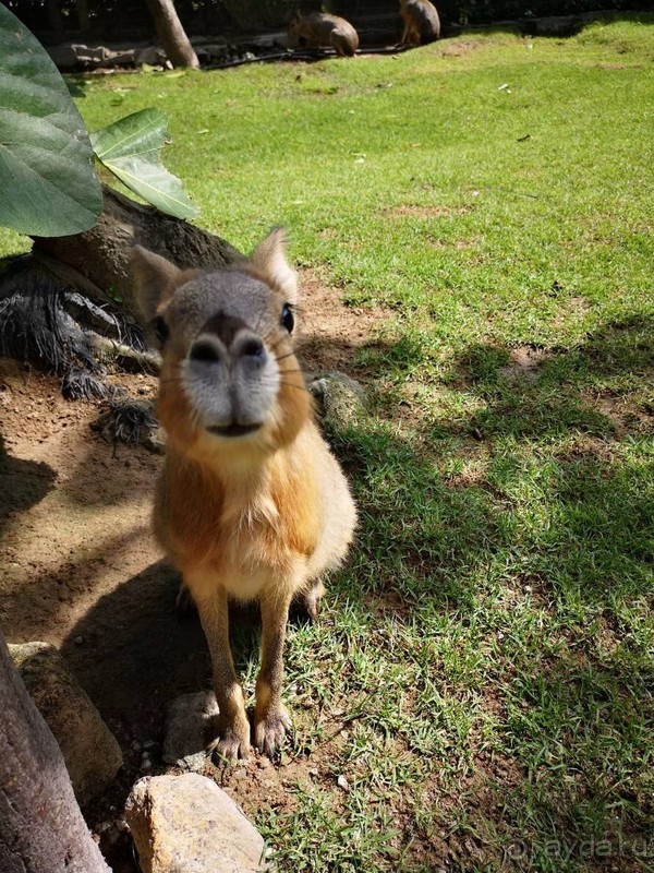 фото Grand Jomtien Palace