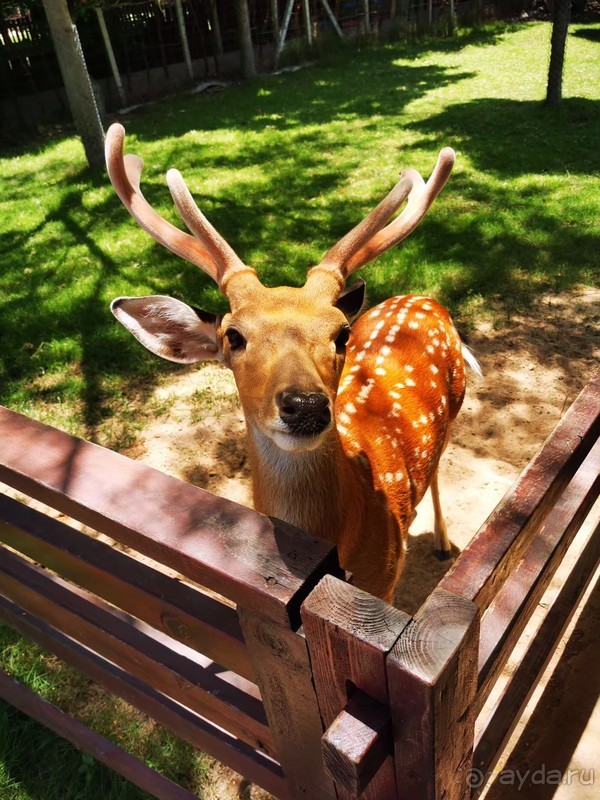 фото Grand Jomtien Palace