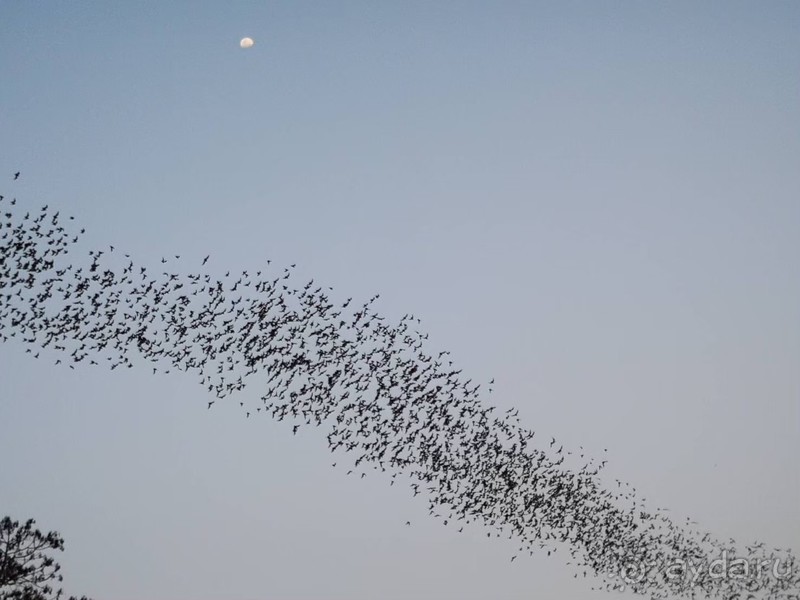 фото Grand Jomtien Palace