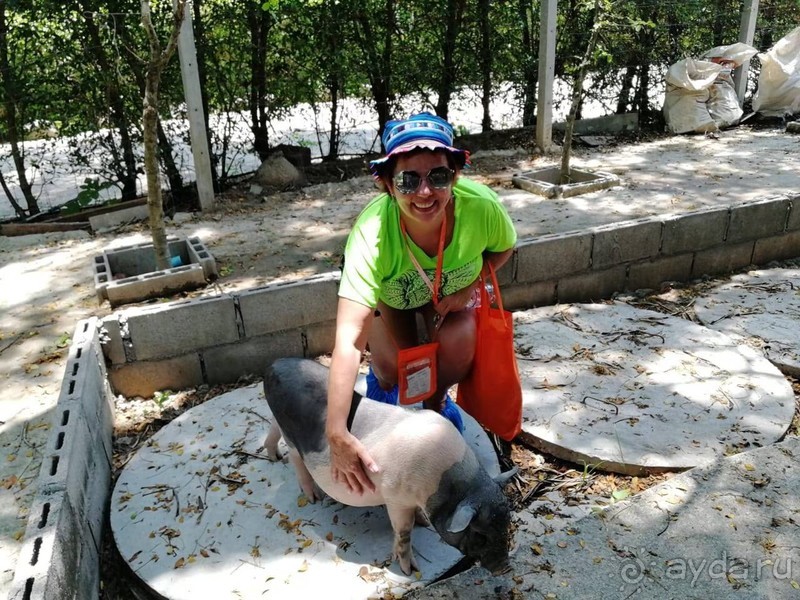 фото Grand Jomtien Palace