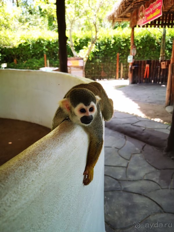 фото Grand Jomtien Palace
