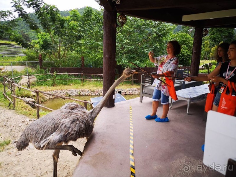 фото Grand Jomtien Palace
