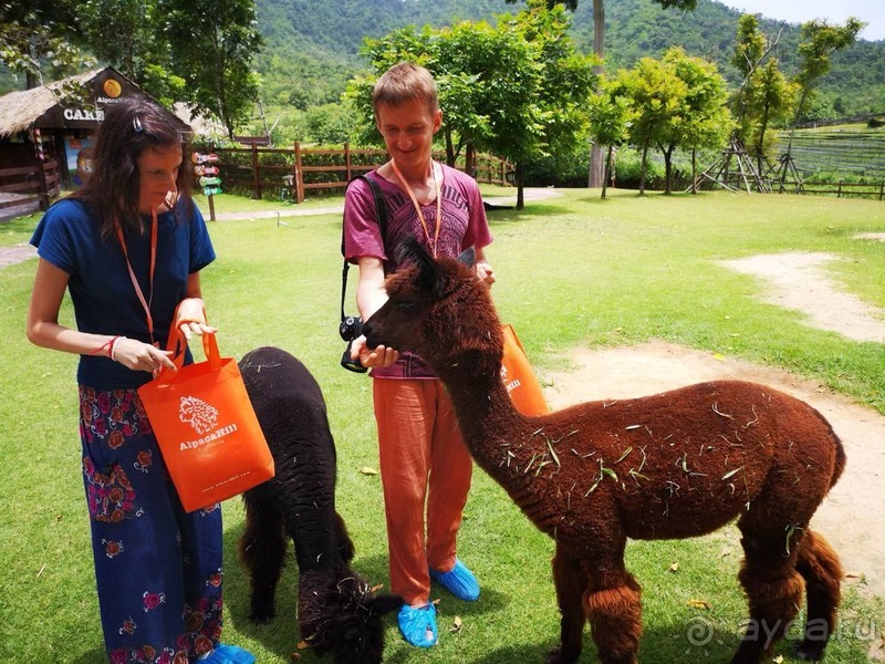 фото Grand Jomtien Palace