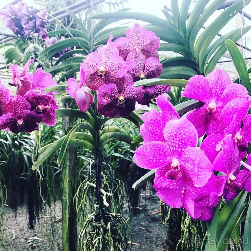 фото Grand Jomtien Palace