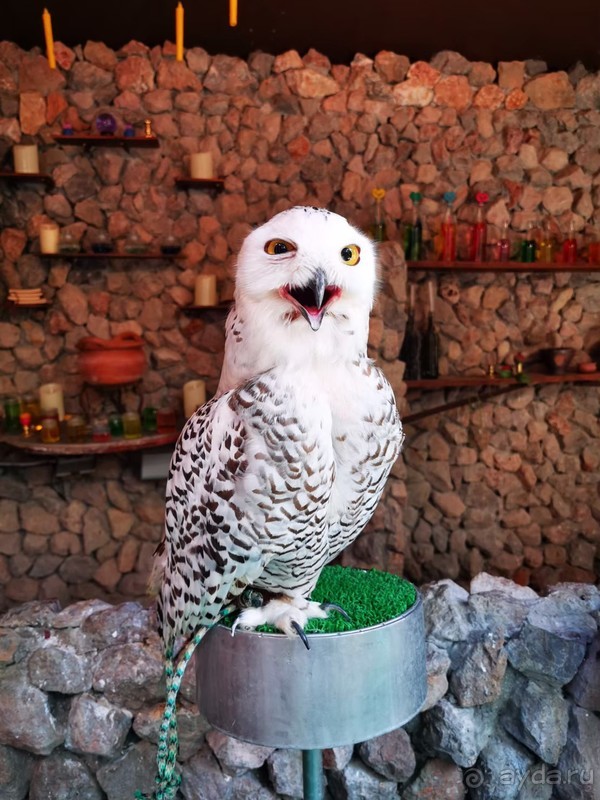 фото Grand Jomtien Palace