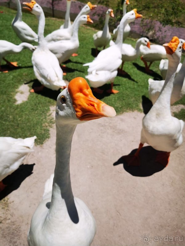 фото Grand Jomtien Palace