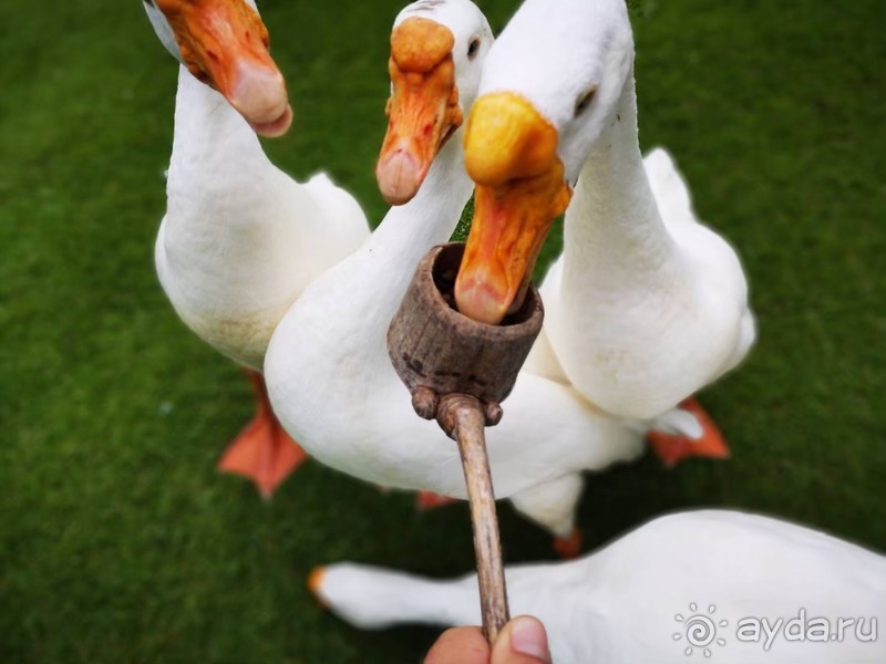 фото Grand Jomtien Palace