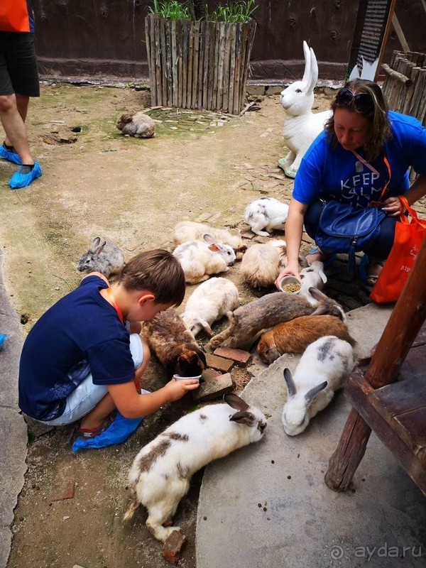 фото Grand Jomtien Palace