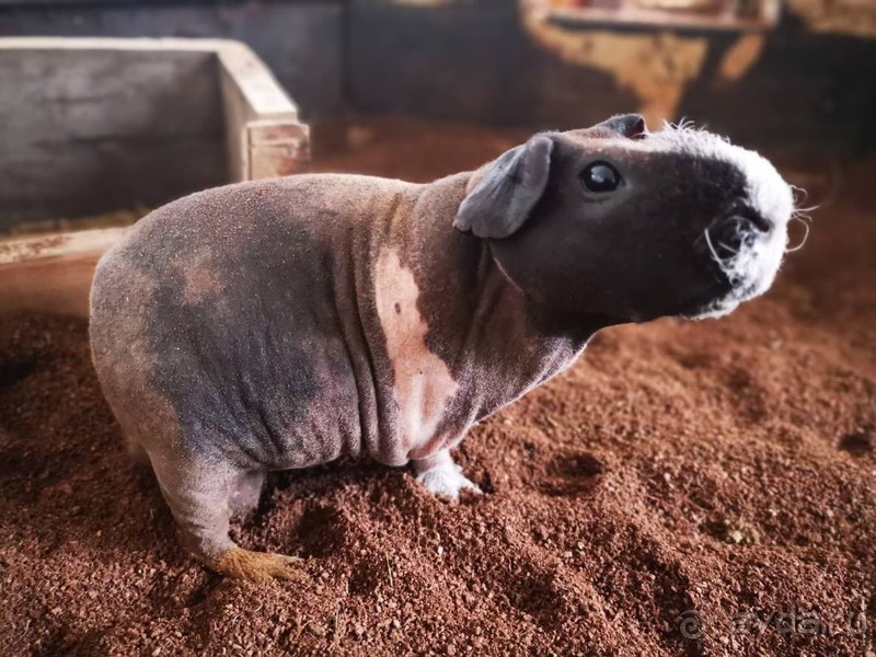 фото Grand Jomtien Palace