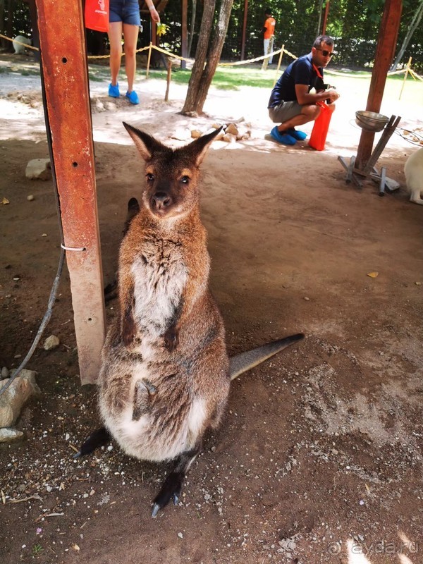 фото Grand Jomtien Palace