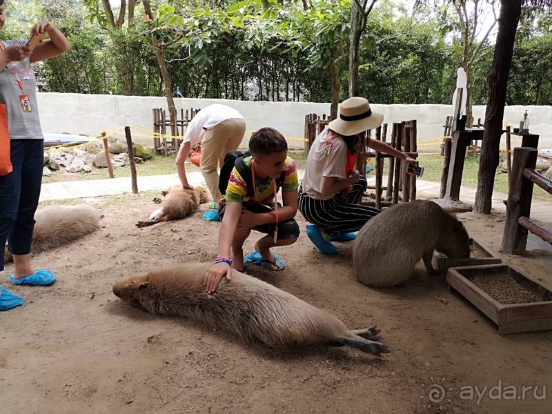 фото Grand Jomtien Palace