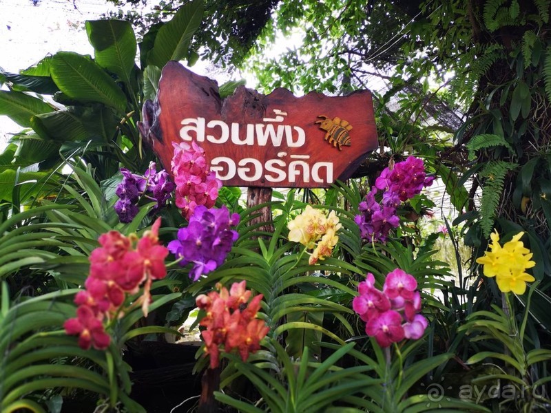 фото Grand Jomtien Palace