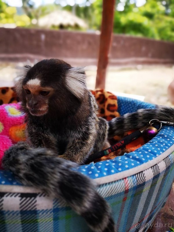 фото Grand Jomtien Palace