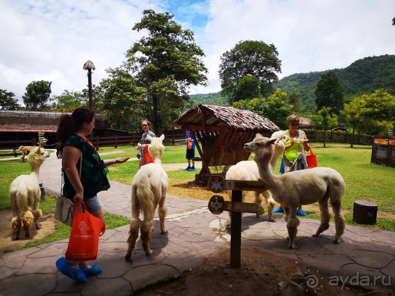 фото Grand Jomtien Palace