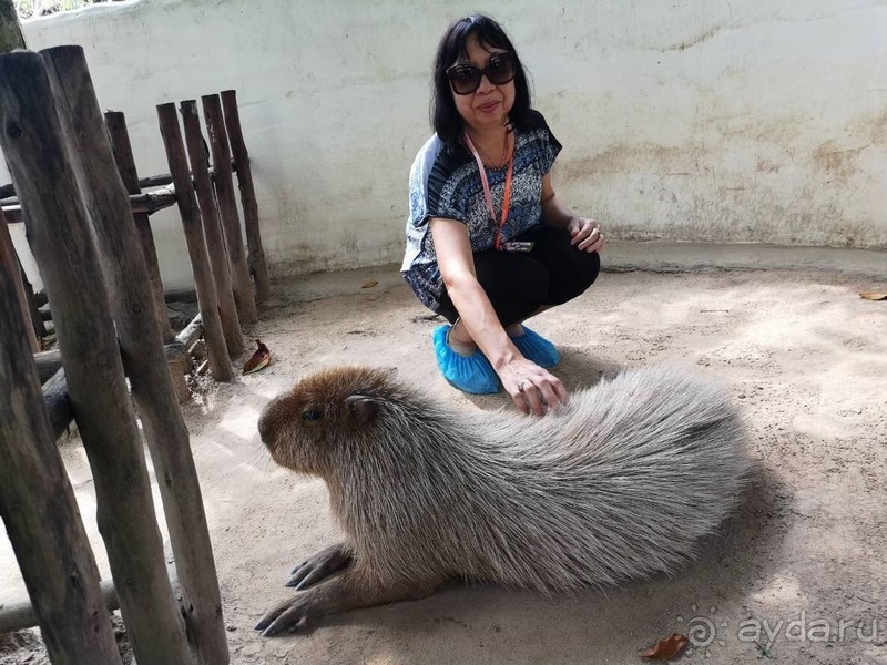 фото Grand Jomtien Palace