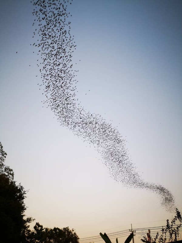 фото Grand Jomtien Palace