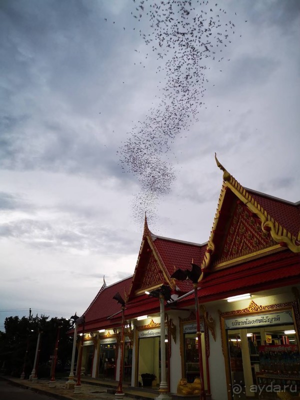 фото Grand Jomtien Palace