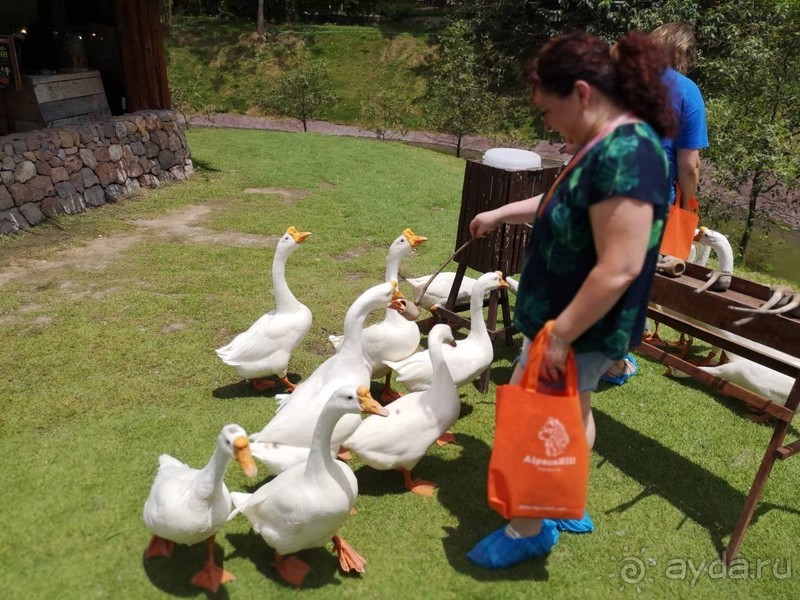 фото Grand Jomtien Palace
