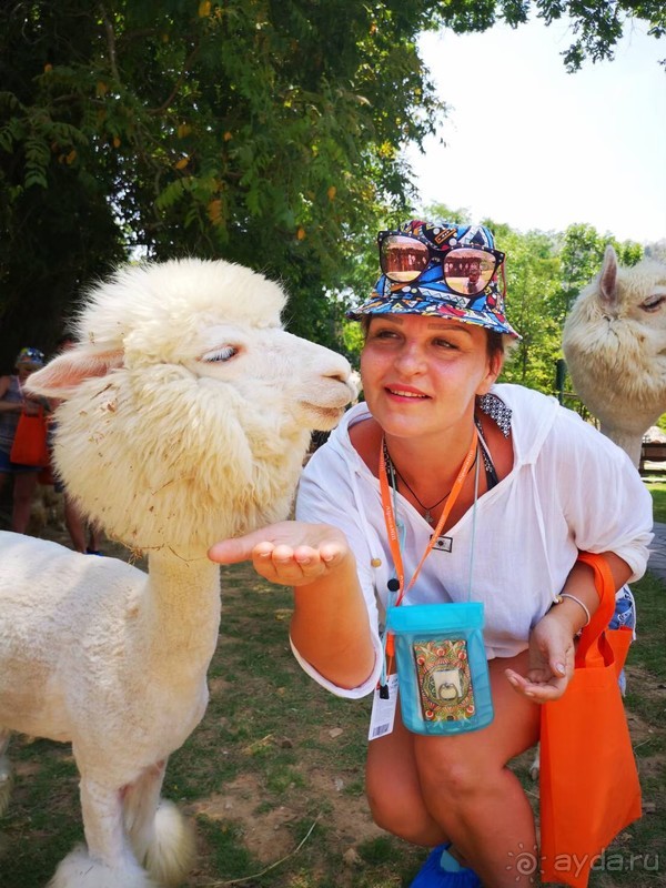 фото Grand Jomtien Palace