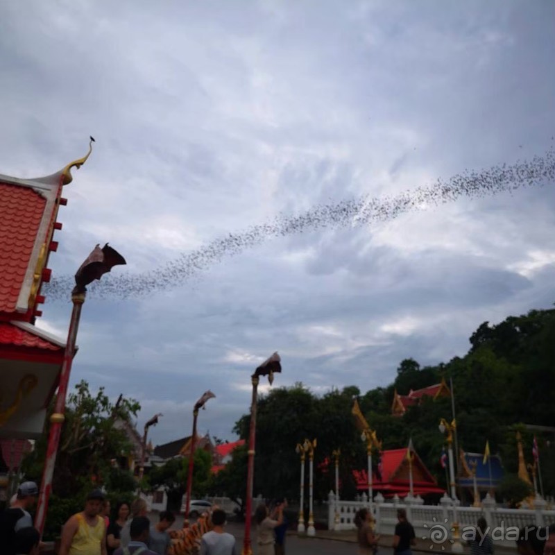 фото Grand Jomtien Palace