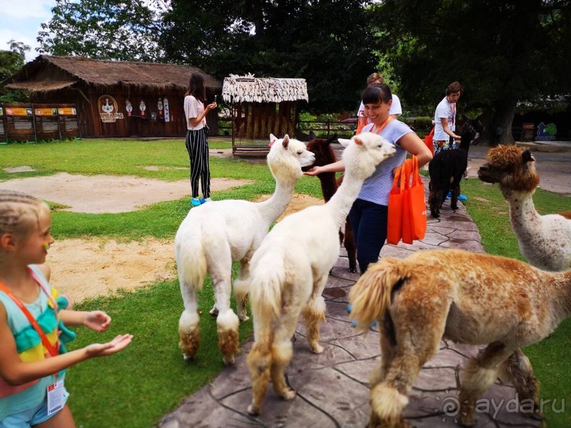 фото Grand Jomtien Palace