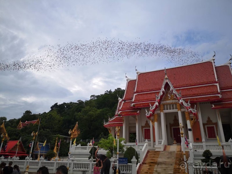 фото Grand Jomtien Palace
