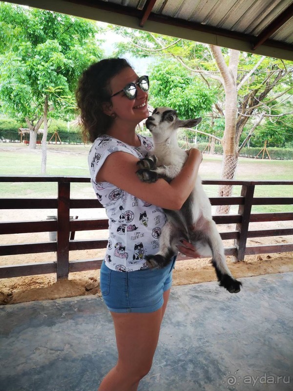 фото Grand Jomtien Palace