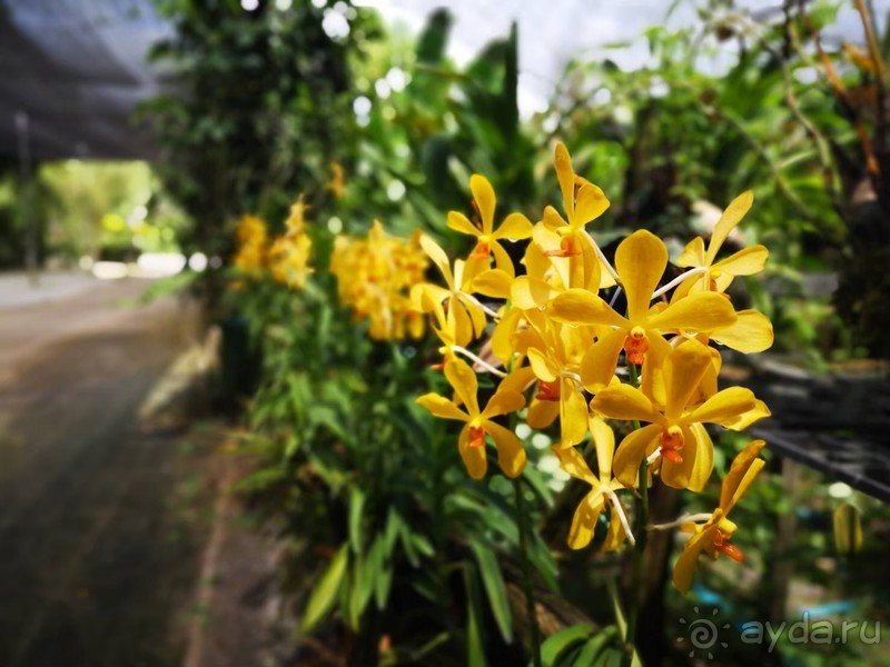 фото Grand Jomtien Palace